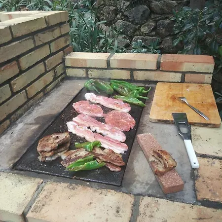Milka Marchuquera Gandía